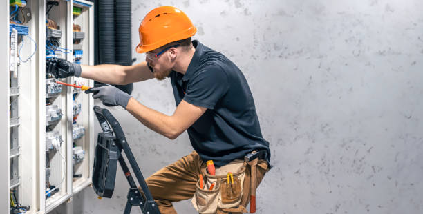 Best Electric Panel Repair  in New Madrid, MO